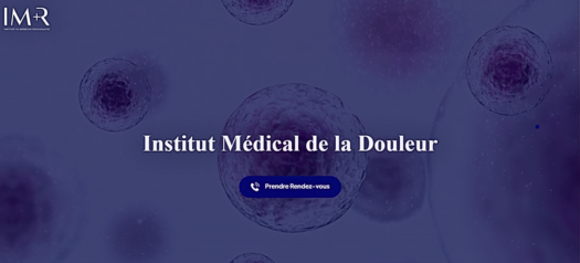 Website Portfolio 41 Institut Médical de la Douleur website showcasing regenerative treatments like PRP, hyaluronic acid, and rehab programs